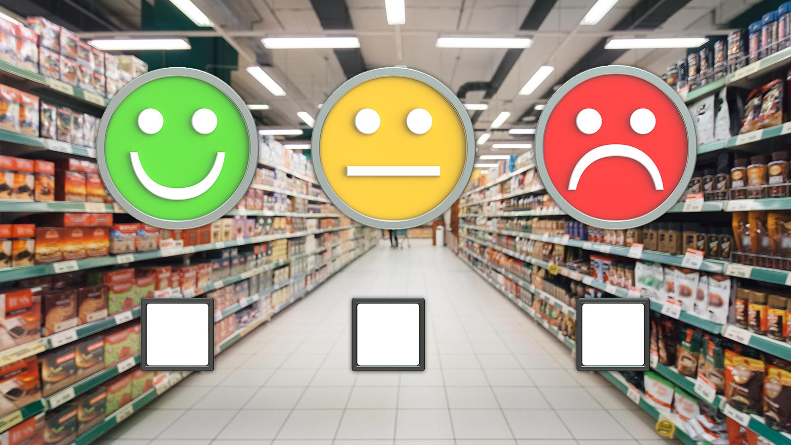 Encuesta seguridad alimentaria